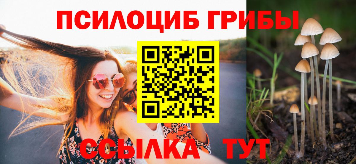 Галлюциногенные грибы MAGIC MUSHROOMS Южно-Сахалинск