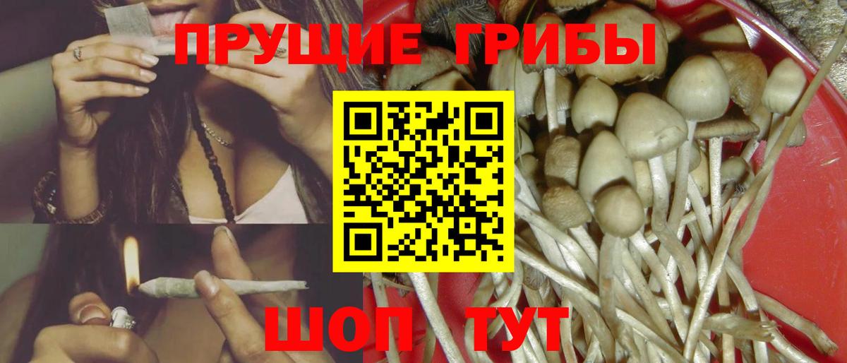 Южно-Сахалинск  Псилоцибиновые грибы Magic Shrooms  Вход с VPN  сколько стоит  Галлюциногенные грибы MAGIC MUSHROOMS 